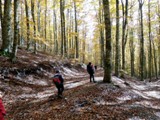 Clicca qui per vedere l'immagine in dettaglio